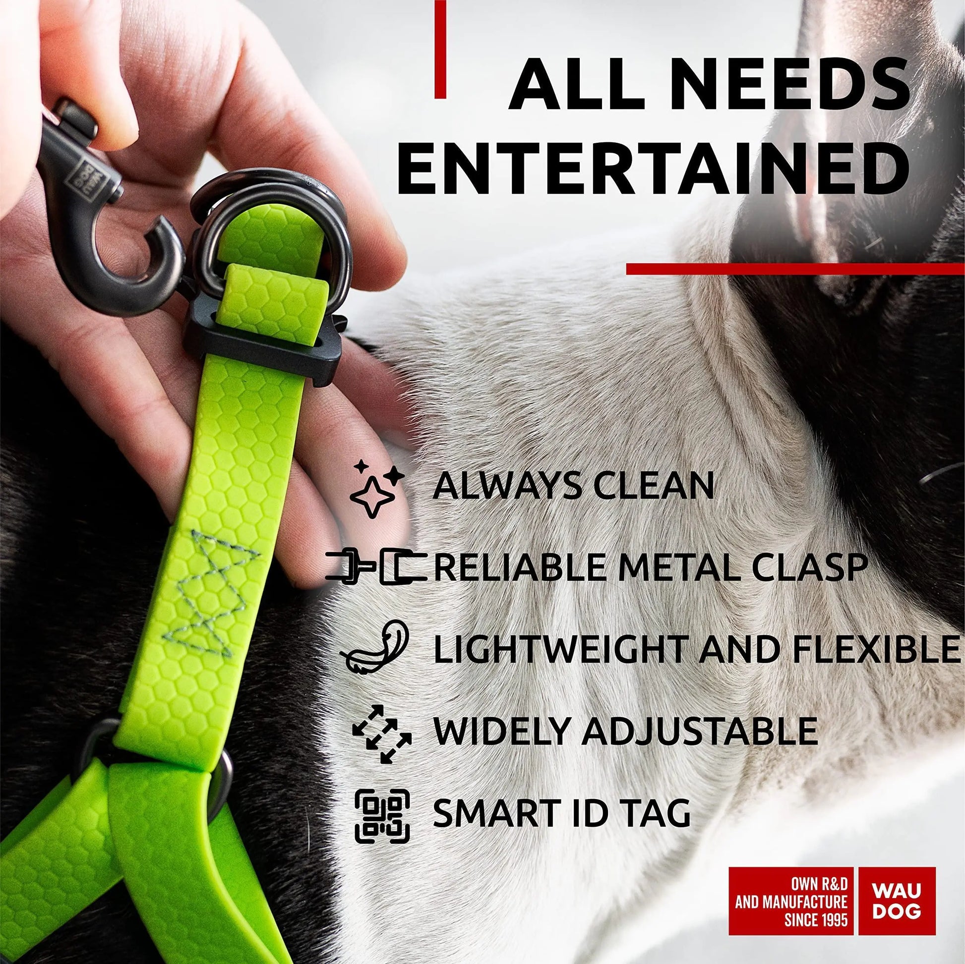 Green Waterproof Dog Harness Adjustable for Small Dogs S Size 1622 inch by Anti Spier
