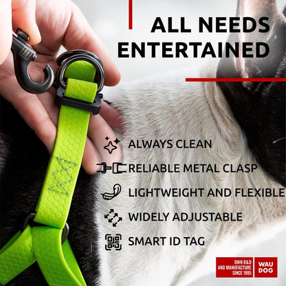 Green Waterproof Dog Harness Adjustable for Small Dogs S Size 1622 inch by Anti Spier