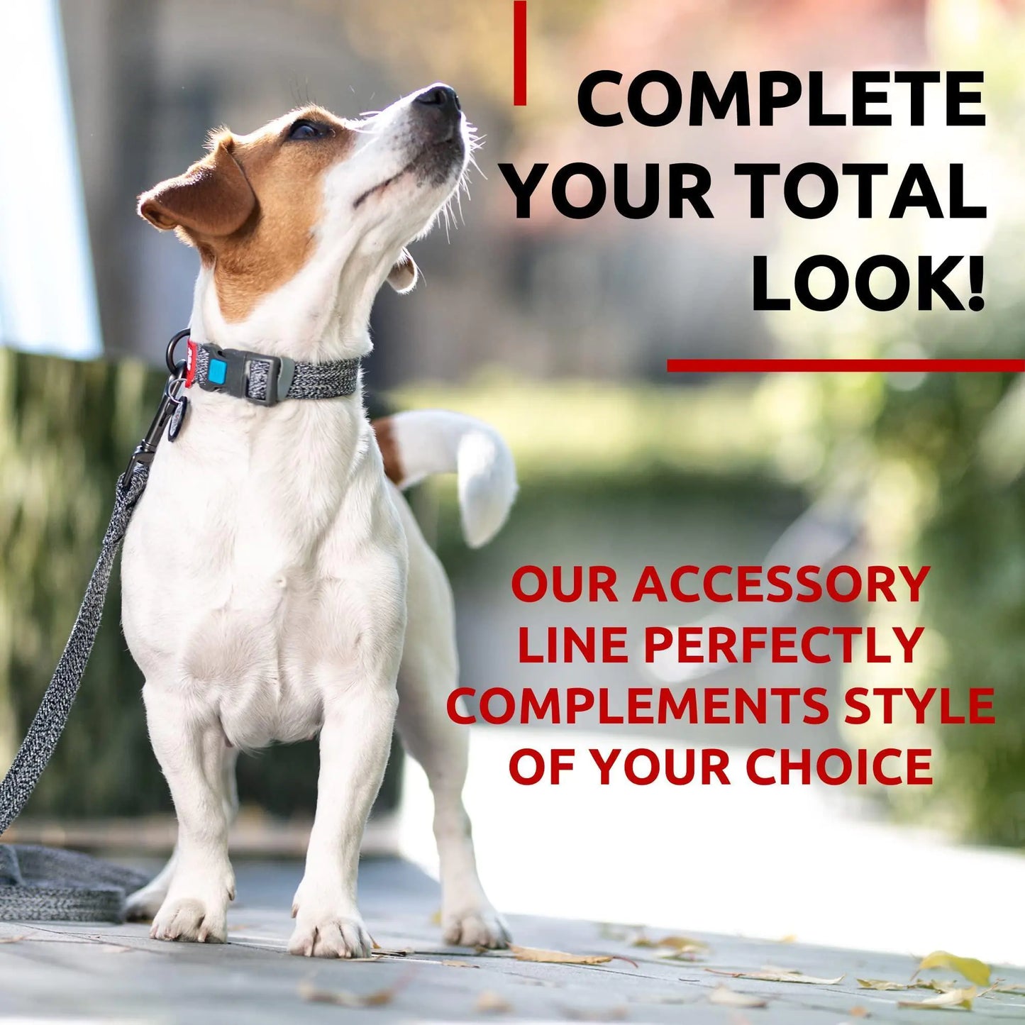 Recycled Cotton Dog Leash 3/5 inch x 6 Ft Eco Friendly for Small Medium Large by Anti Spier
