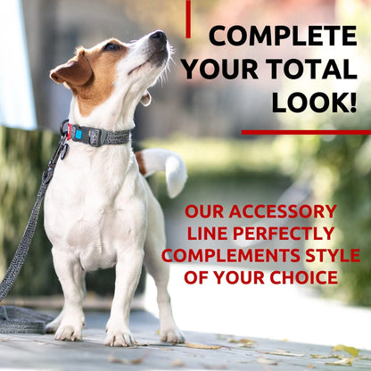 Recycled Cotton Dog Leash 3/5 inch x 6 Ft Eco Friendly for Small Medium Large by Anti Spier