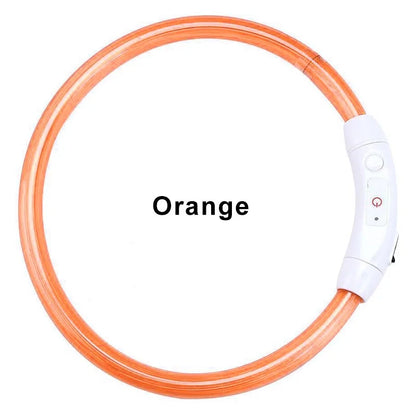 LED Collar Night Safety For Pets by Anti Spier