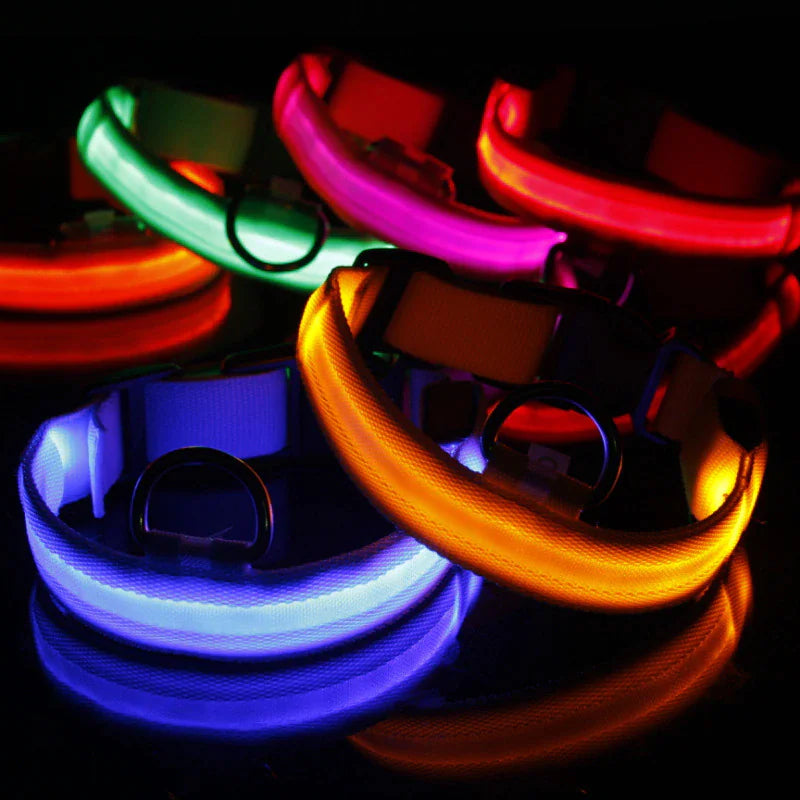 LED Adjustable Dog Collar Blinking Flashing Light Up Glow Pets Safety Waterproof by Anti Spier