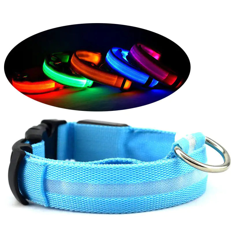 LED PET Safety Halo Style Collar by Anti Spier