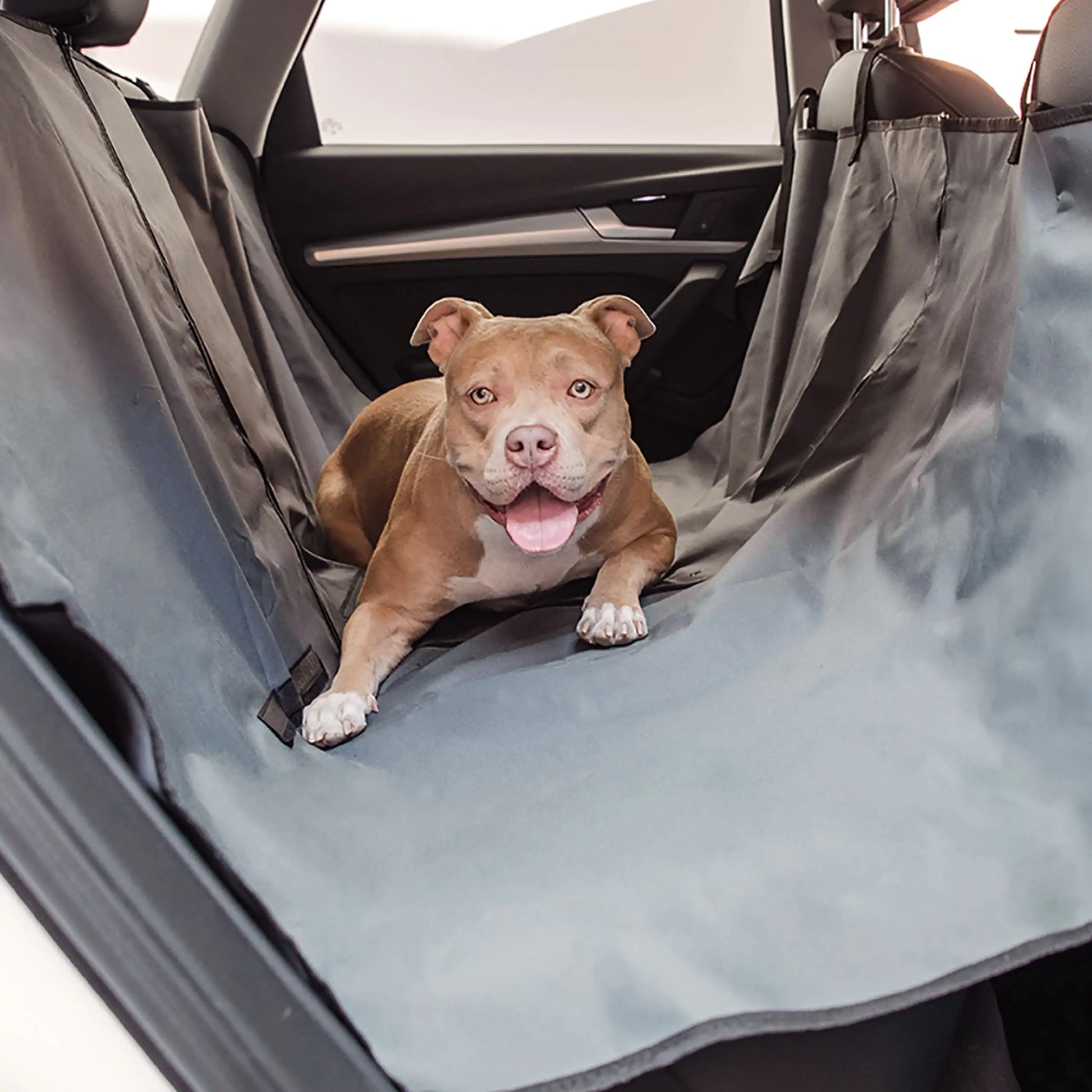 Pet Hammock Seat Cover by Anti Spier