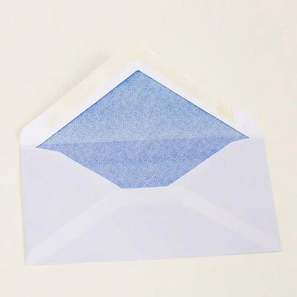 #6 3/4 Security Envelope w/ Gummed Closure (80/Pack) by Anti Spier