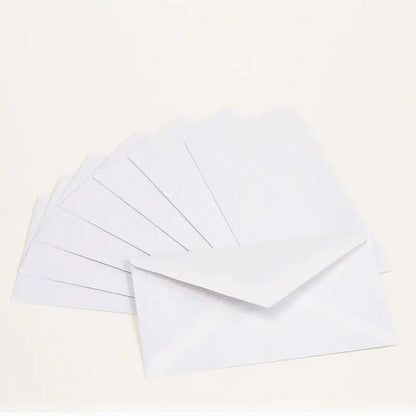 #6 3/4 Security Envelope w/ Gummed Closure (80/Pack) by Anti Spier