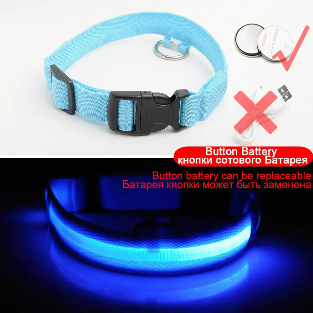 LED Dog Collar - Anti-Lost Rechargeable Safety Light-Up Collar for Night Walks by Anti Spier