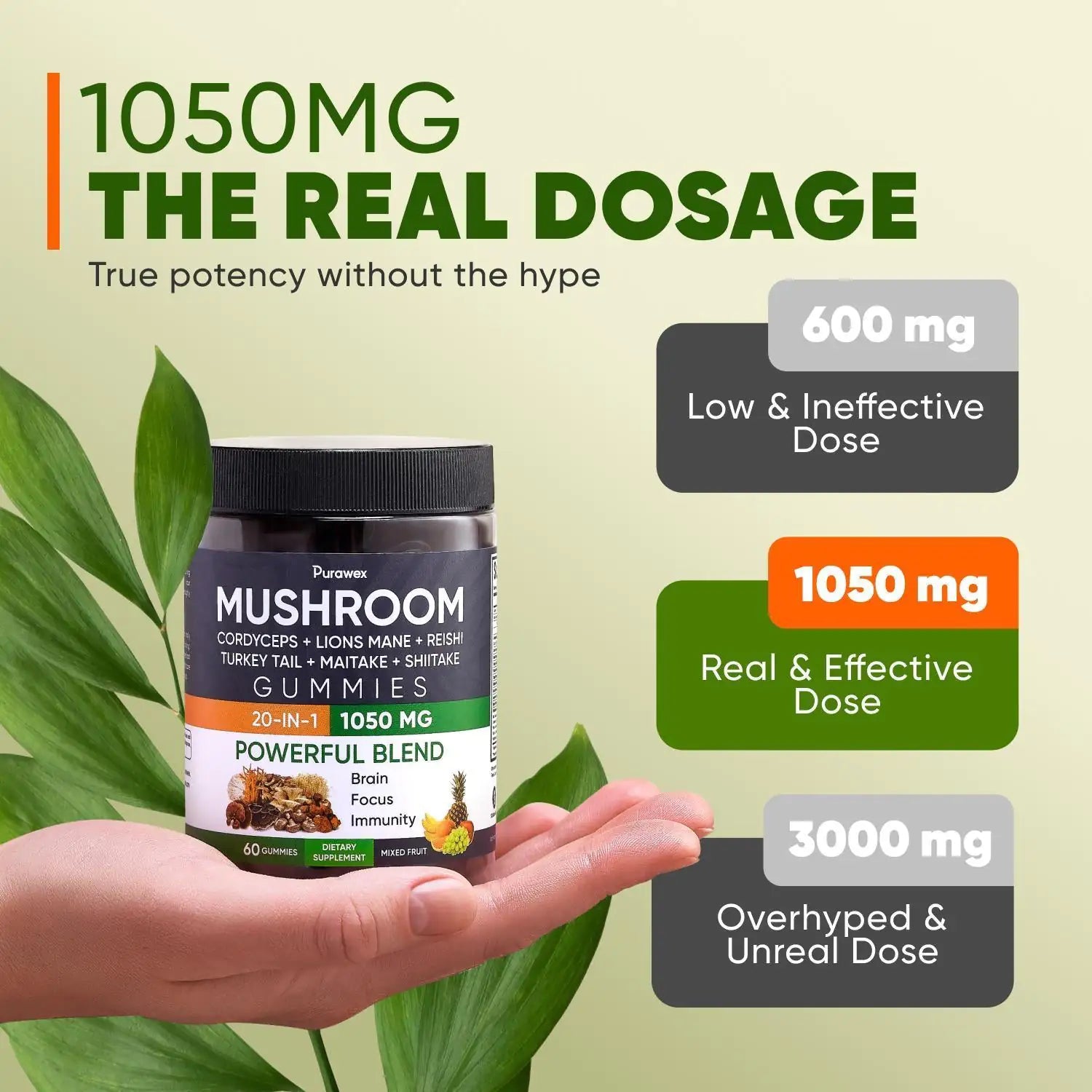 Purawex Mushroom Gummies, 20 in 1 Mushroom Complex 1050 MG, Cordyceps, Reishi, by Anti Spier