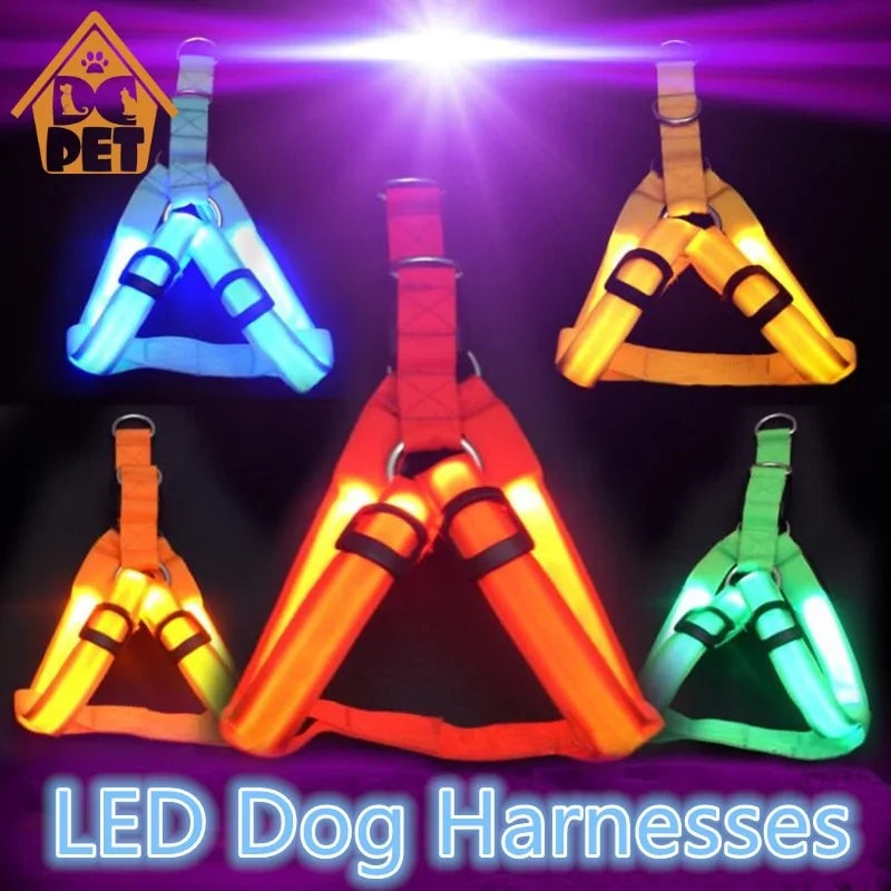 Nylon Pet Safety LED Harness by Anti Spier