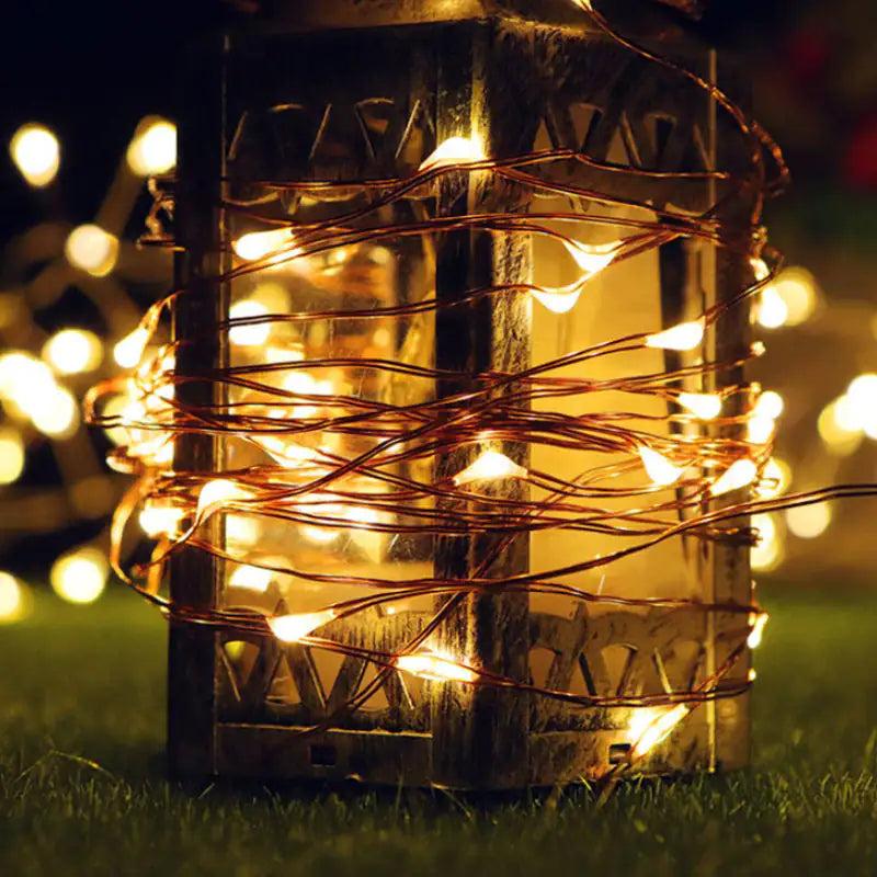 Mini Home lights 50 lights by Anti Spier