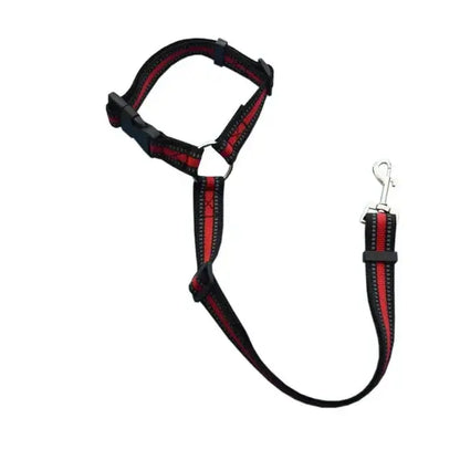 Pet Car Seat Belt & Harness Safety And Style by Anti Spier