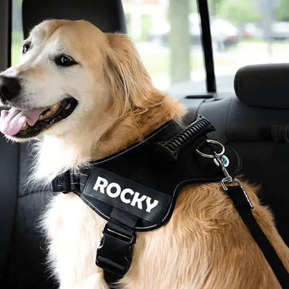 Adjustable Dog Safety Seat Belt by Anti Spier