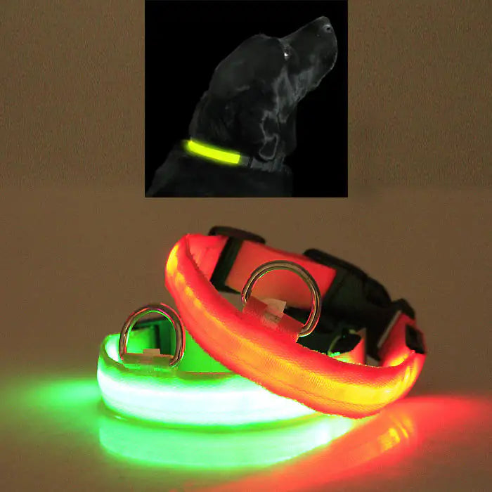 LED PET Safety Halo Style Collar by Anti Spier