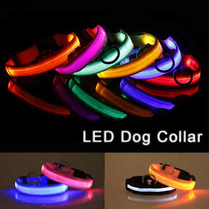 LED Adjustable Dog Collar Blinking Flashing Light Up Glow Pets Safety Waterproof by Anti Spier