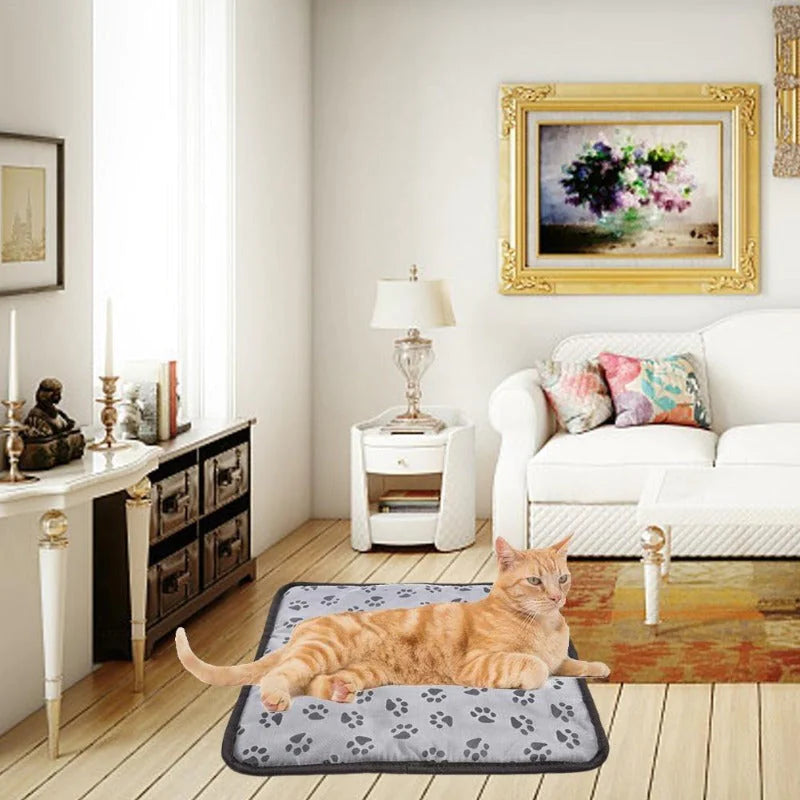 Pet Heated Blanket with Auto-Off & Waterproof by Anti Spier