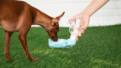 Pet Water Bottle by Anti Spier