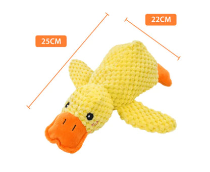Calming Duck Toy by Anti Spier