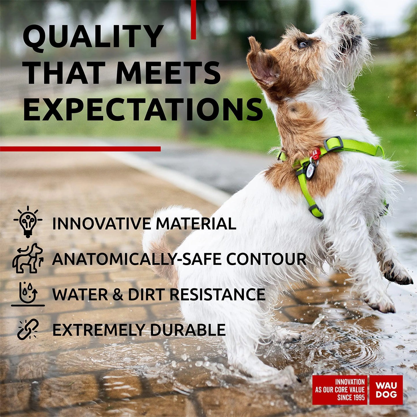 Green Waterproof Dog Harness Adjustable for Small Dogs S Size 1622 inch by Anti Spier