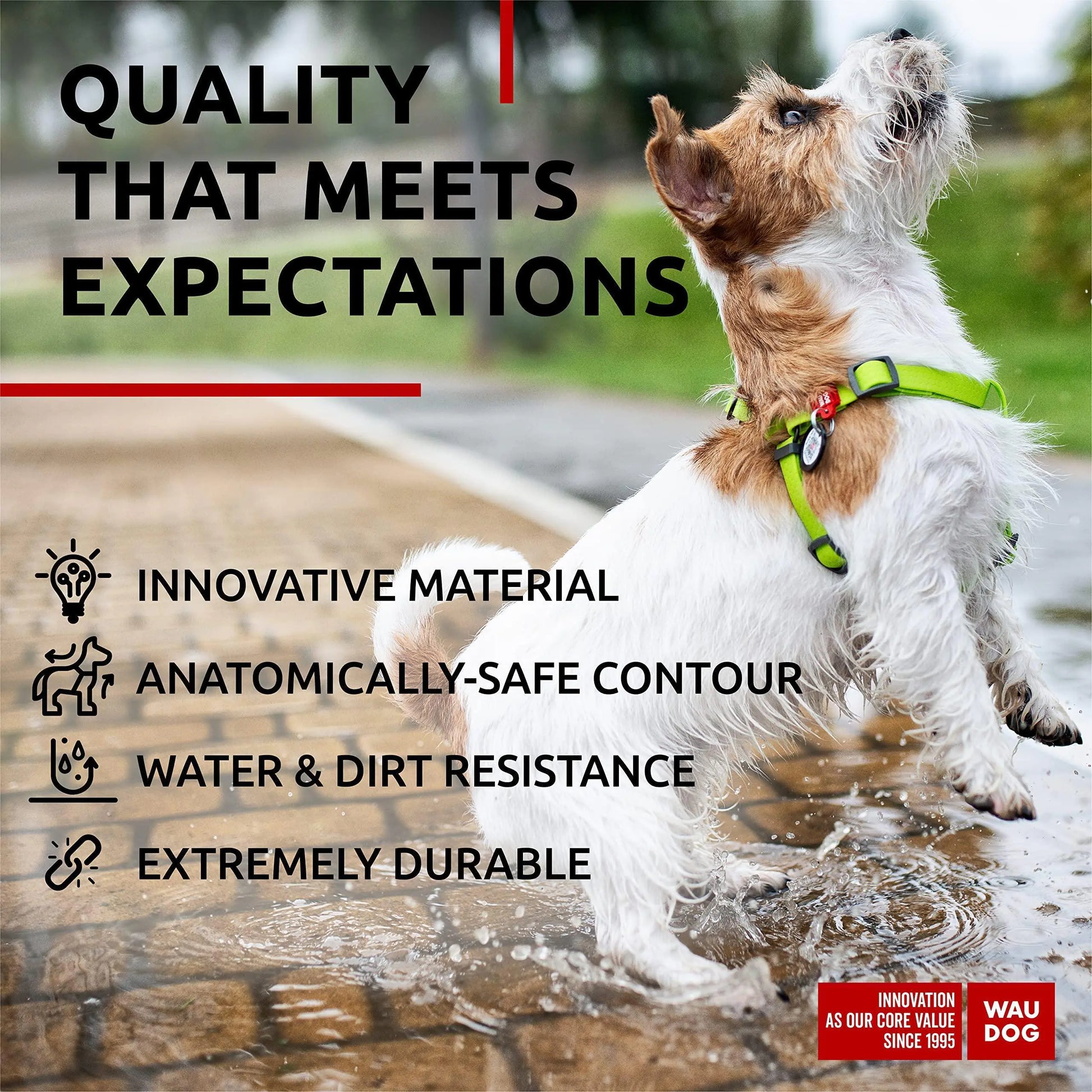 Green Waterproof Dog Harness Adjustable for Small Dogs S Size 1622 inch by Anti Spier