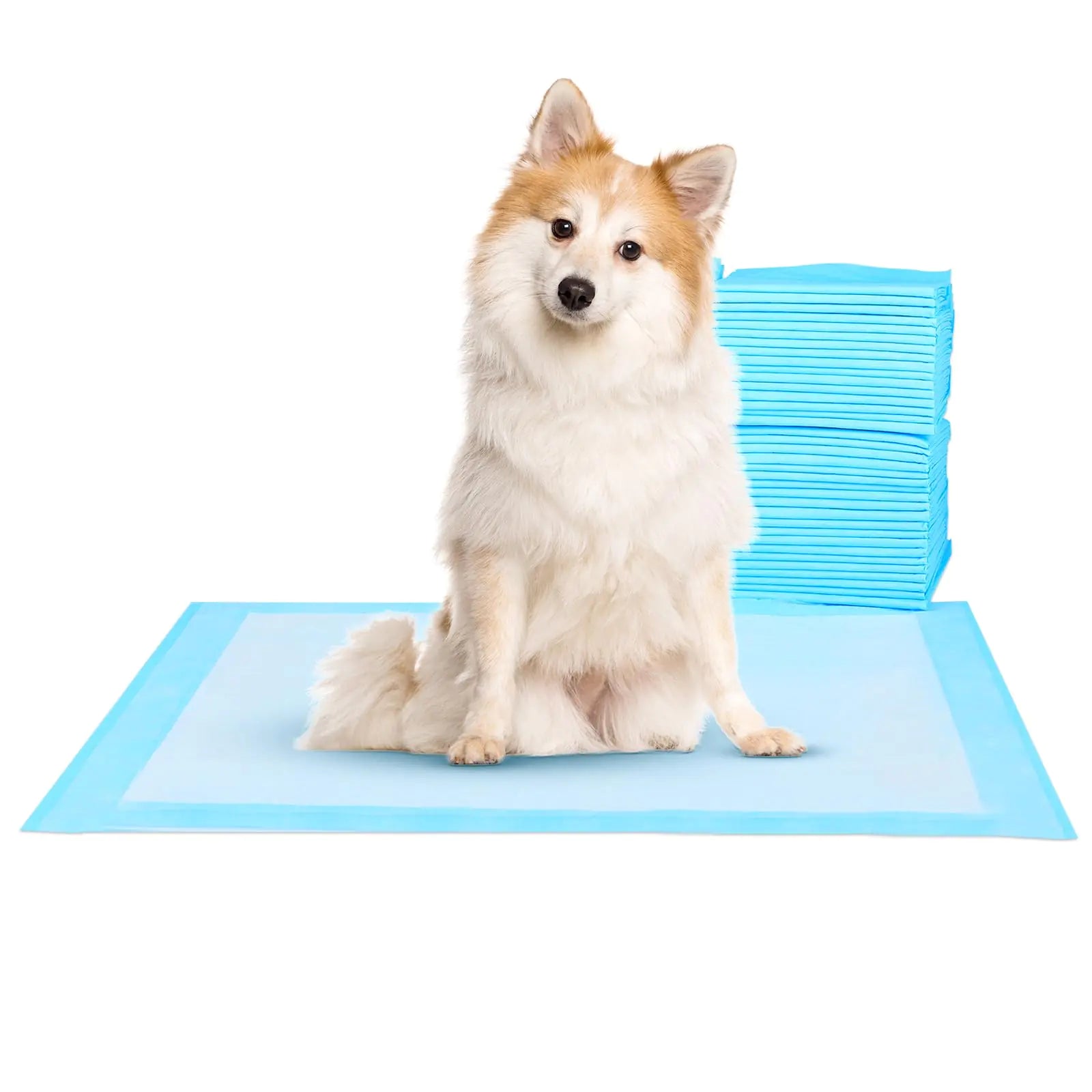 Super-Absorbent Waterproof Dog and Puppy Pet Training Pad Housebreaking Pet PadBlue (28"X30"(100PCS)) by Anti Spier