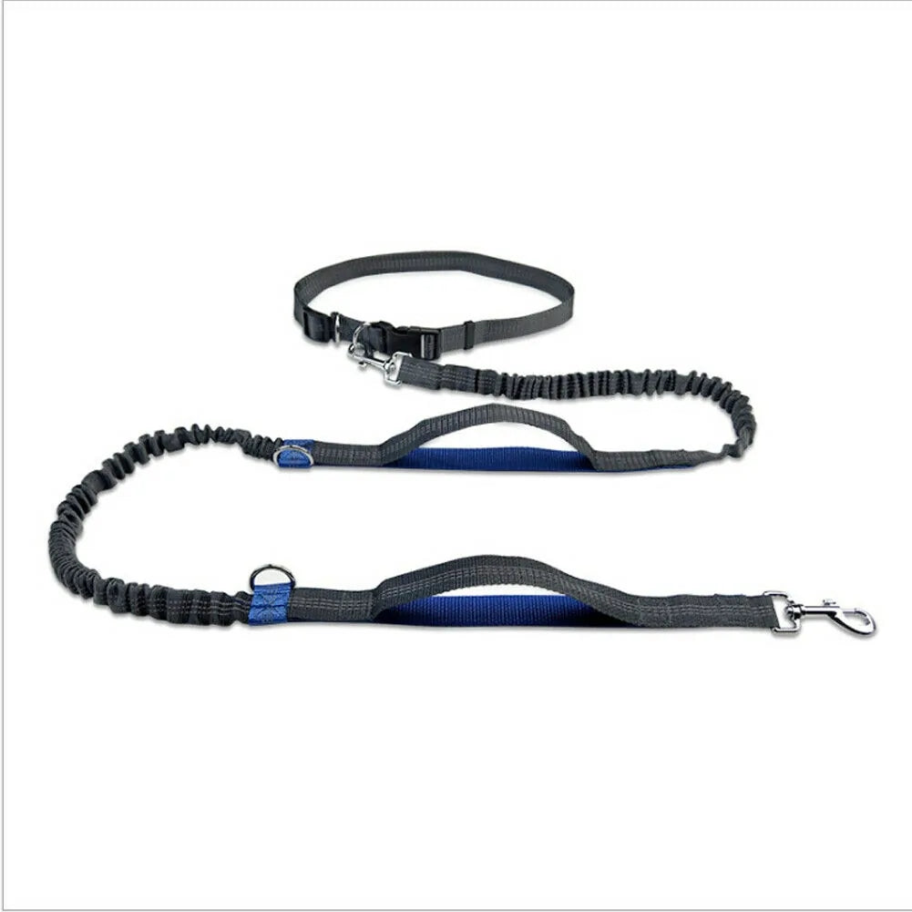 Reflective Rope Pet Leashes by Anti Spier