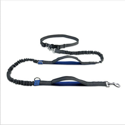 Reflective Rope Pet Leashes by Anti Spier