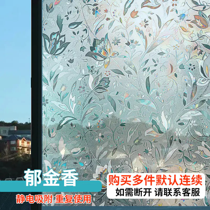 Frosted Glass Window Film for Privacy and Light Control by Anti Spier