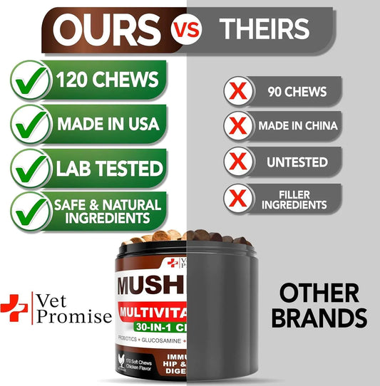 Mushroom for Dogs 170 Chews Turkey Tail Mushroom for Dogs Lions Mane Reishi by Anti Spier
