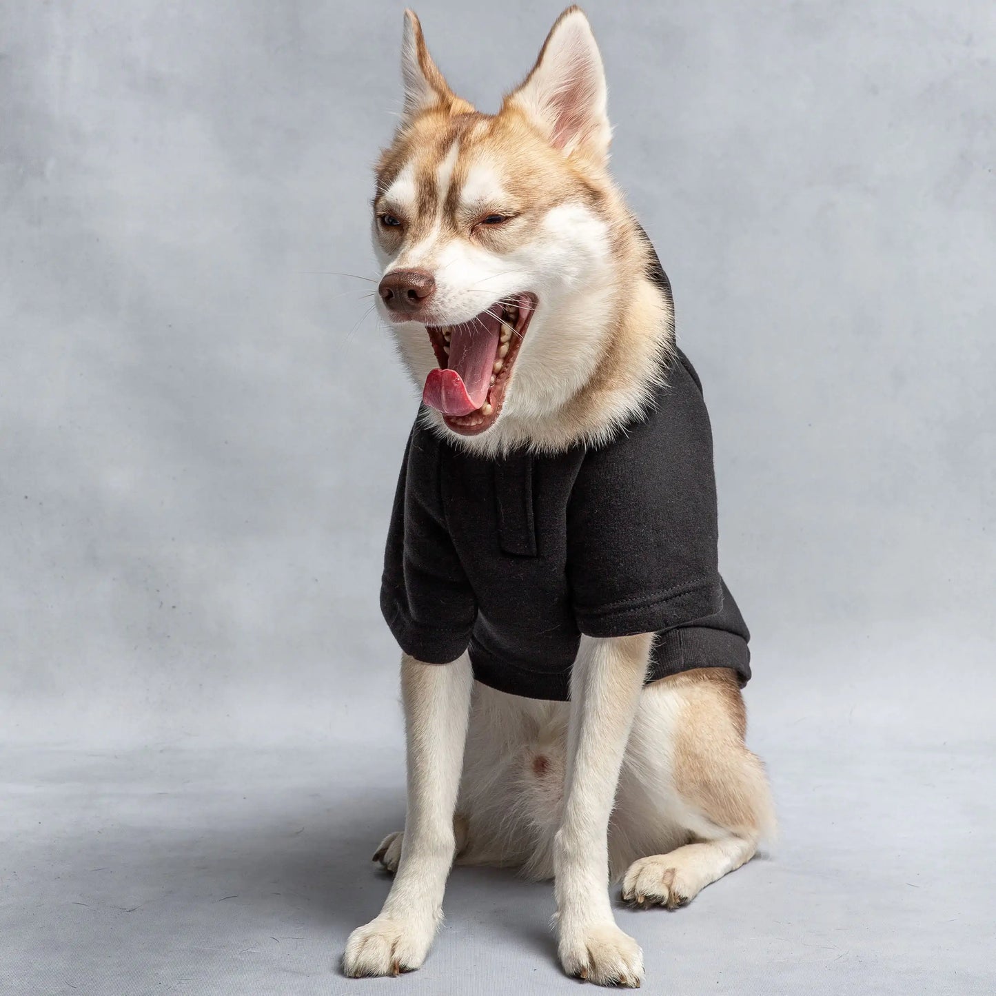 Hooded Dog Fleece by Anti Spier