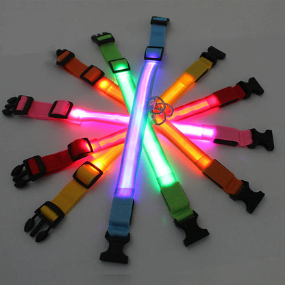 LED Adjustable Dog Collar Blinking Flashing Light Up Glow Pets Safety Waterproof by Anti Spier