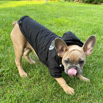 Reflective Pet Hooded Jacket by Anti Spier