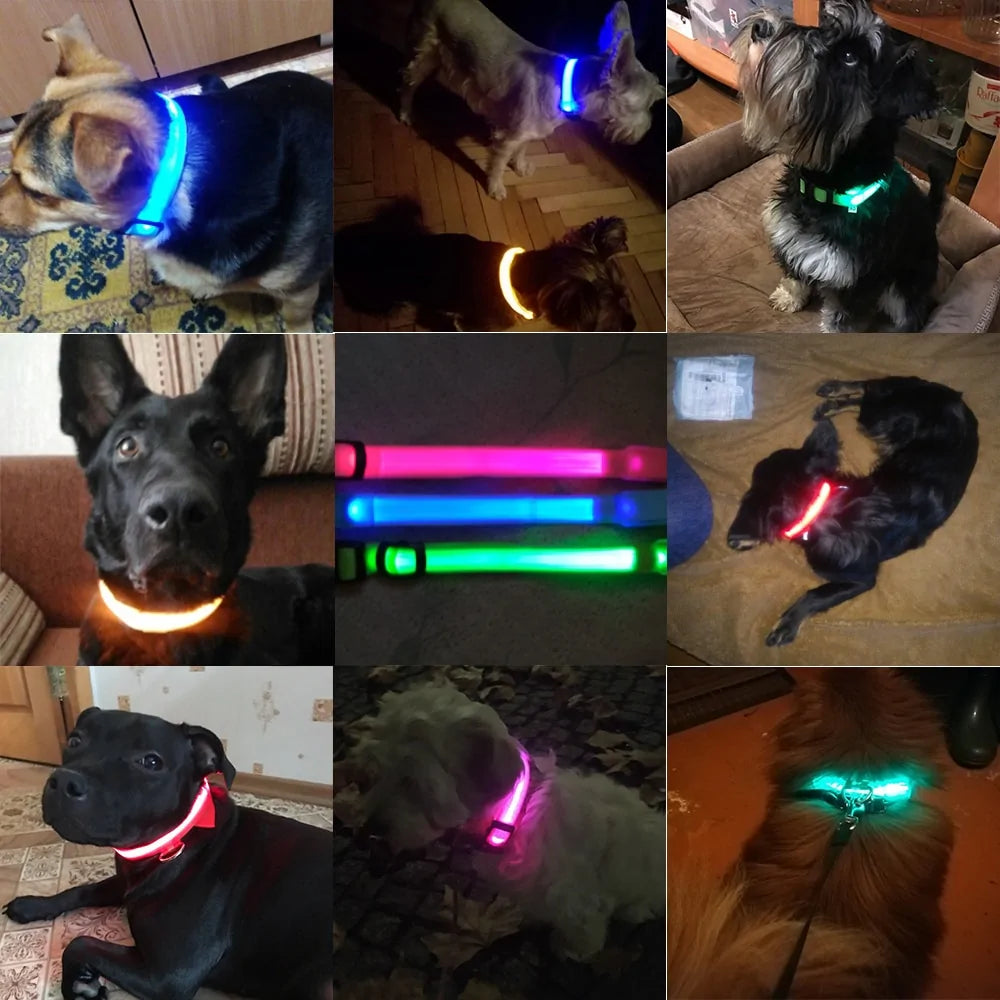LED Dog Collar - Anti-Lost Rechargeable Safety Light-Up Collar for Night Walks by Anti Spier