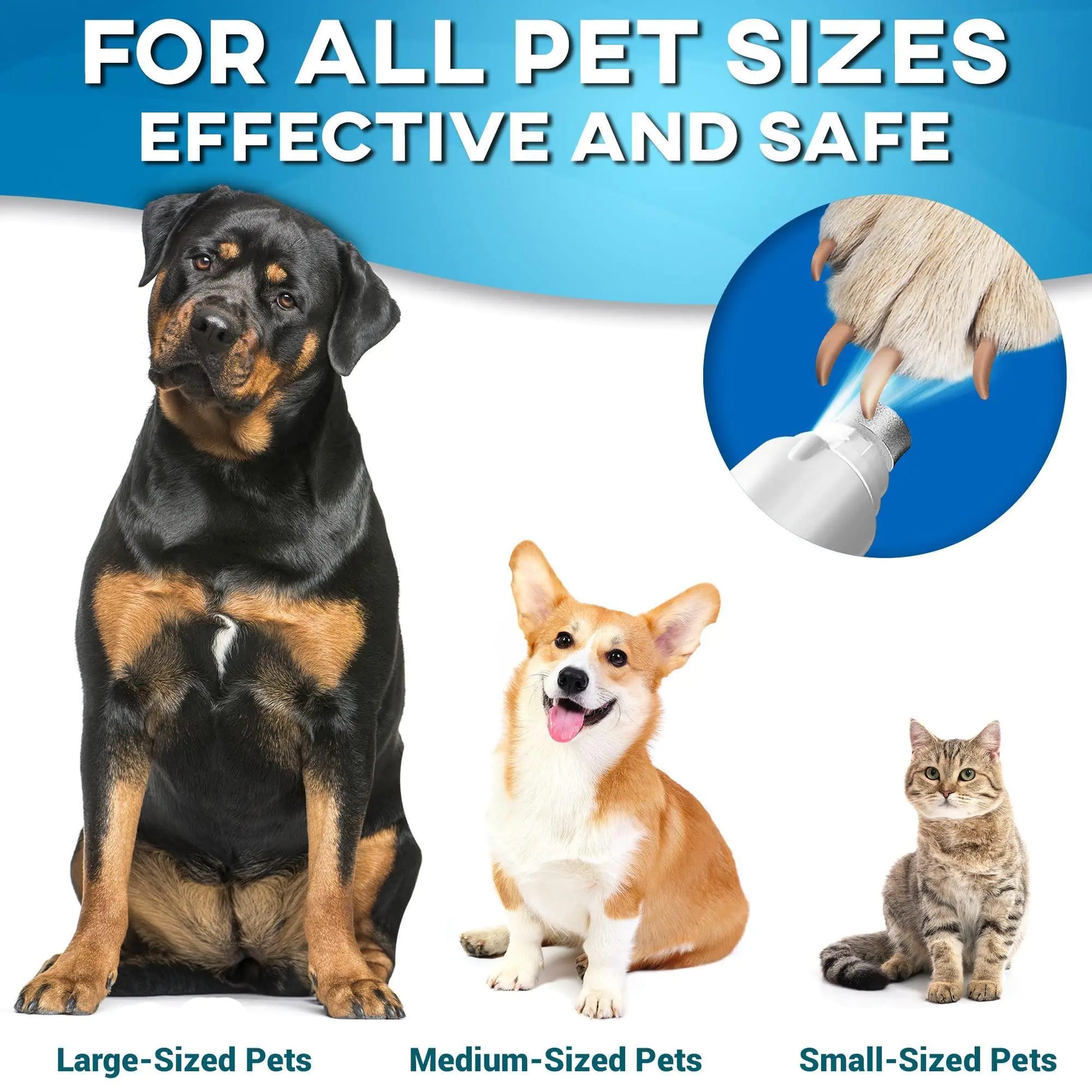 Primens Professional Dog Nail Grinder Replacement Head Pack of 3 Bits Tip by Anti Spier
