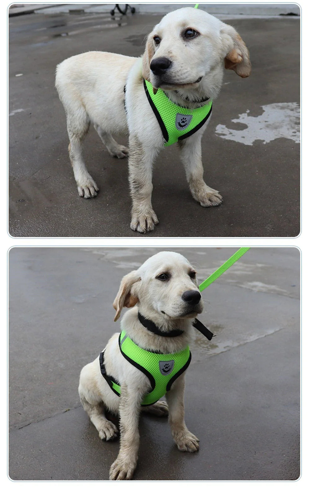 Cat Dog Pet Harness Adjustable Control Vest Dogs Reflective S M L XL Leash by Anti Spier