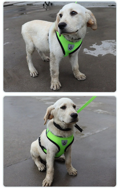 Cat Dog Pet Harness Adjustable Control Vest Dogs Reflective S M L XL Leash by Anti Spier