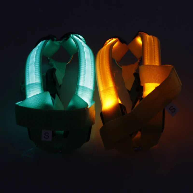 Nylon Pet Safety LED Harness by Anti Spier