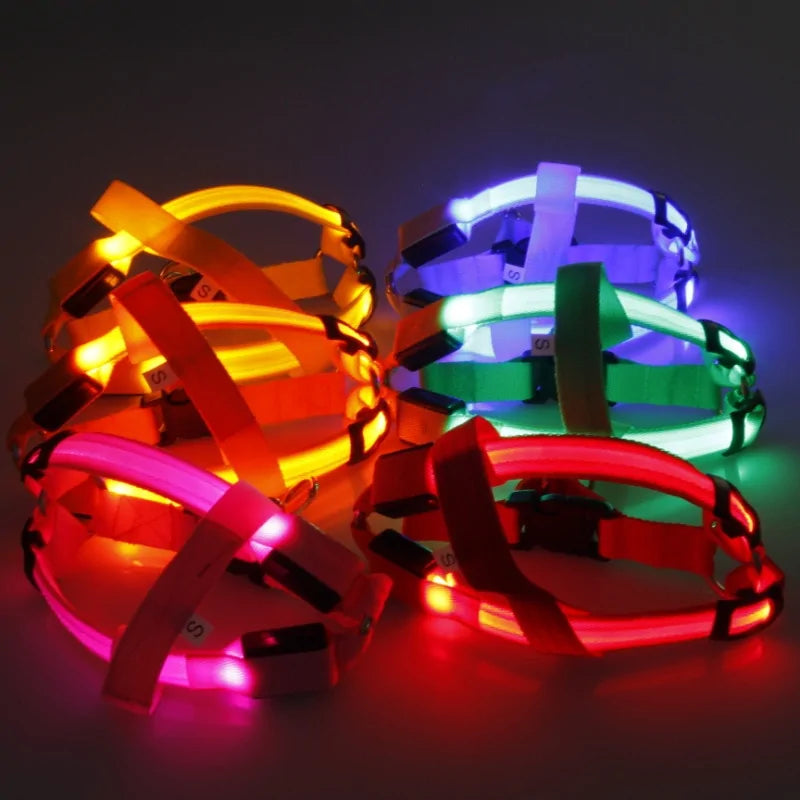 Nylon Pet Safety LED Harness by Anti Spier