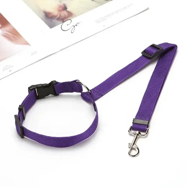 Pet Car Seat Belt & Harness Safety And Style by Anti Spier