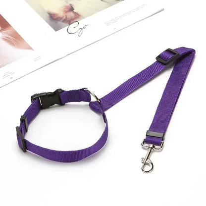 Pet Car Seat Belt & Harness Safety And Style by Anti Spier