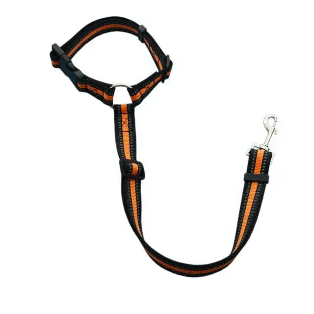 Pet Car Seat Belt & Harness Safety And Style by Anti Spier
