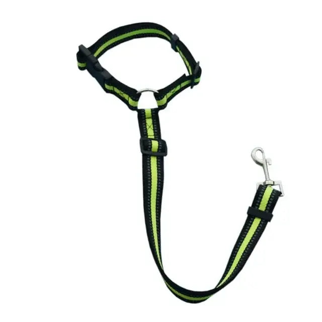 Pet Car Seat Belt & Harness Safety And Style by Anti Spier