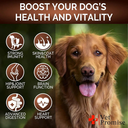 Mushroom for Dogs 170 Chews Turkey Tail Mushroom for Dogs Lions Mane Reishi by Anti Spier