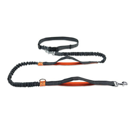 Reflective Rope Pet Leashes by Anti Spier