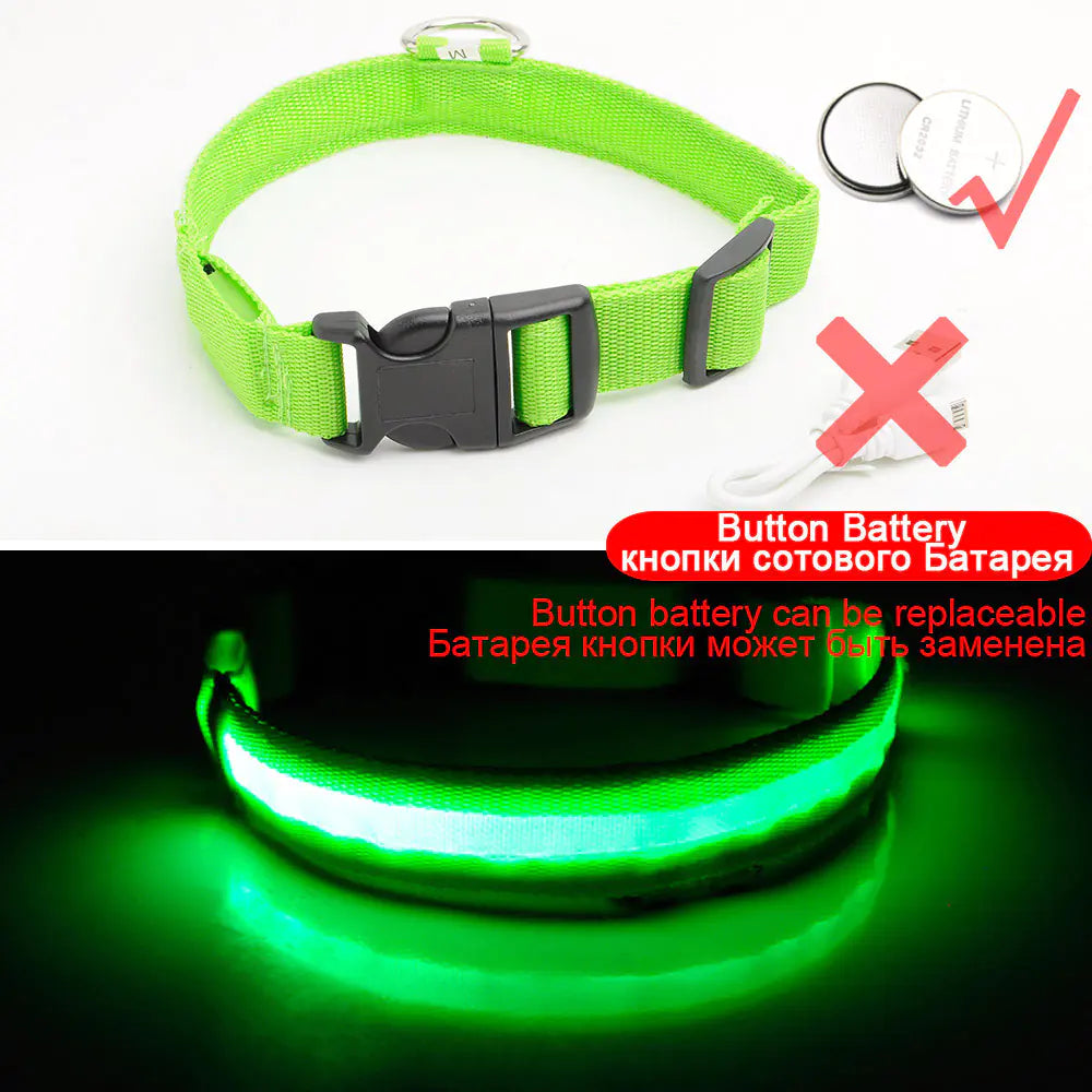 LED Dog Collar - Anti-Lost Rechargeable Safety Light-Up Collar for Night Walks by Anti Spier