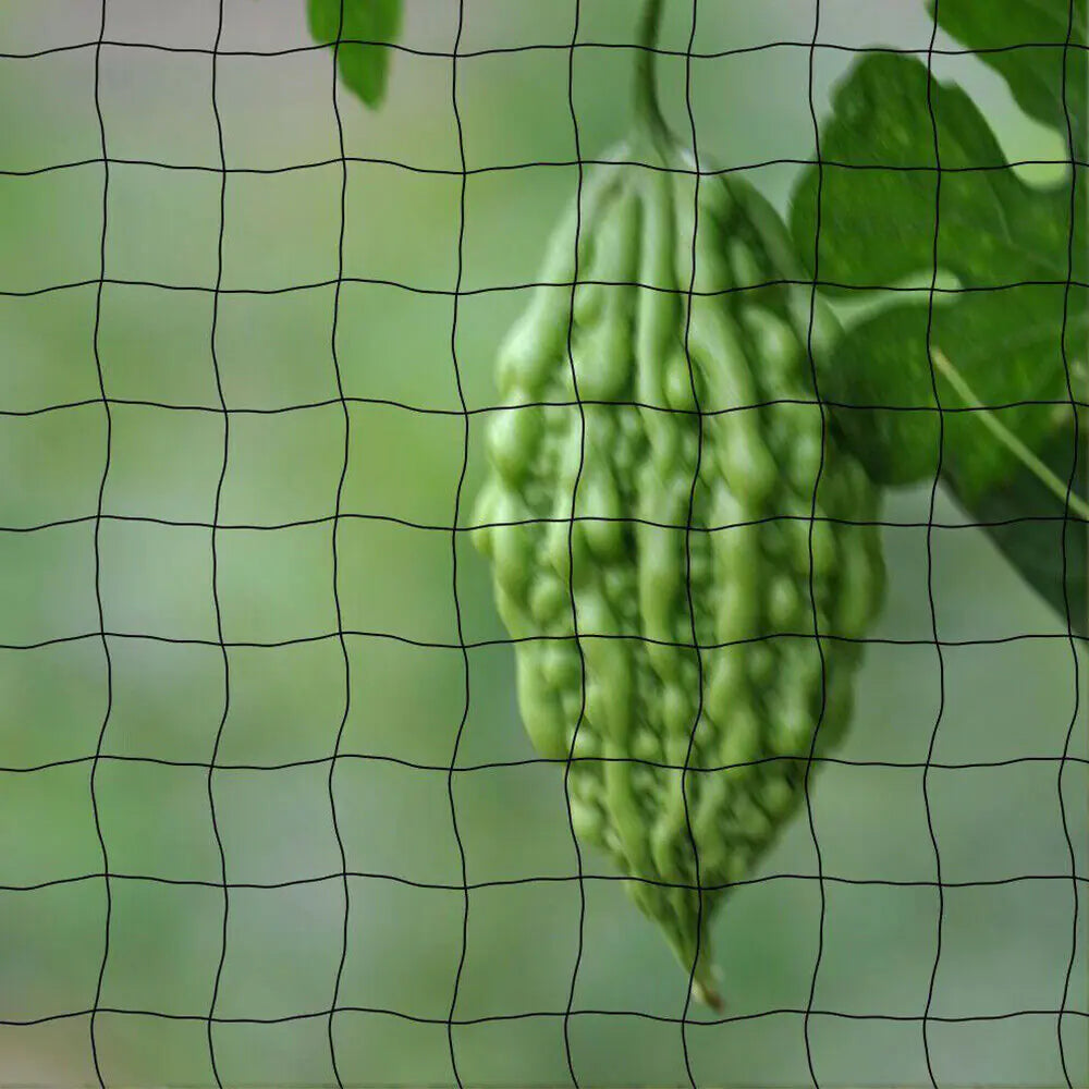 33FT Anti Bird Netting Pond Net Protection Tree Crops Plants Fruits Garden Mesh by Anti Spier
