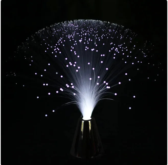 LED Fiber Optic Color Light by Anti Spier