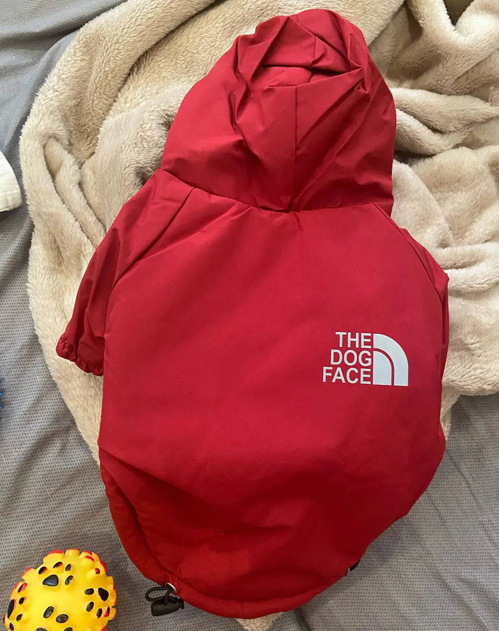 Reflective Pet Hooded Jacket by Anti Spier
