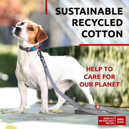 Recycled Cotton Dog Leash 3/5 inch x 6 Ft Eco Friendly for Small Medium Large by Anti Spier
