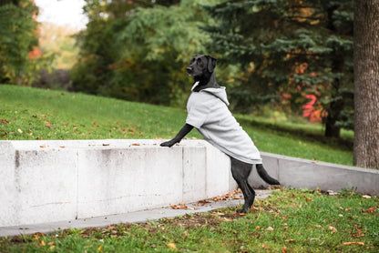 Brave Bark Hooded Dog Fleece by Anti Spier