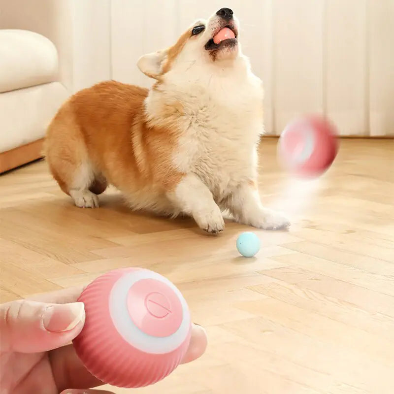 Electric Dog Toys Smart Puppy Ball Toys For Cat Small Dogs Funny Auto Rolling Ball Self-moving Puppy Games Toys Pet Accessories by Anti Spier